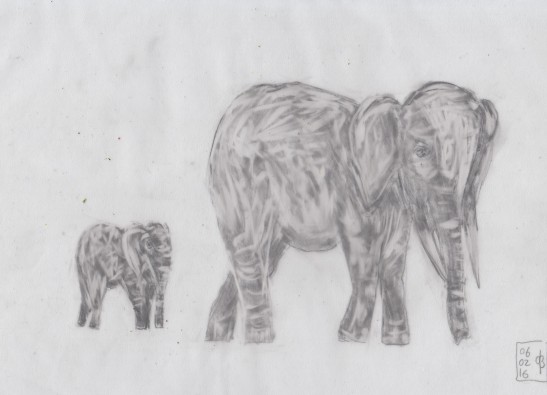 Mar6_elephants1